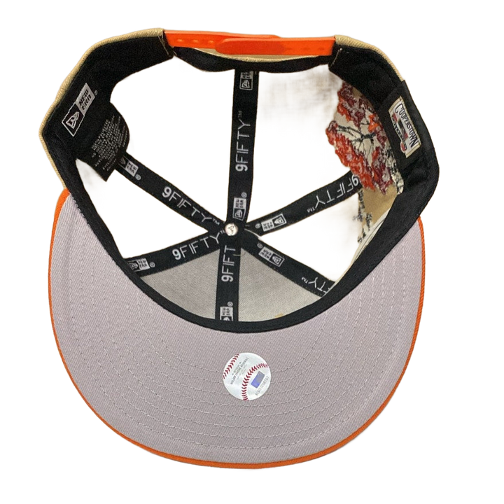 Updated product image